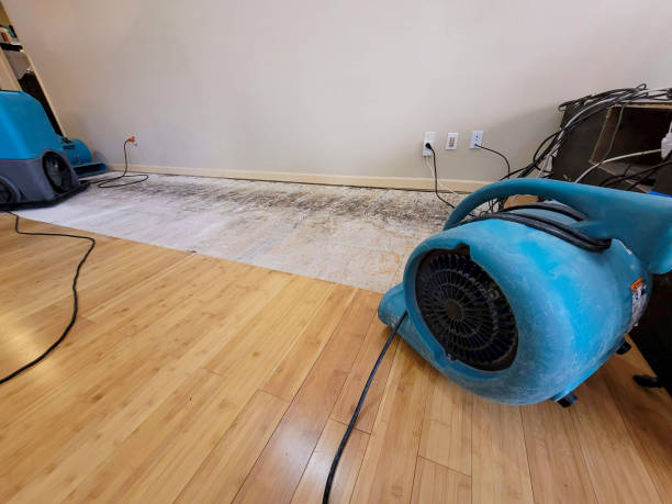 Reliable Basement Flood Cleanup contractor in Mounds, OK by Hirex Water Damage